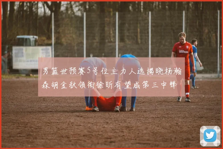 男篮世预赛5号位主力人选揭晓杨瀚森胡金秋领衔徐昕有望成第三中锋
